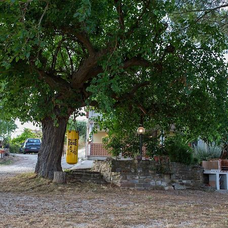 Casa Vacanze Diamante Ogliastro Cilento Bagian luar foto