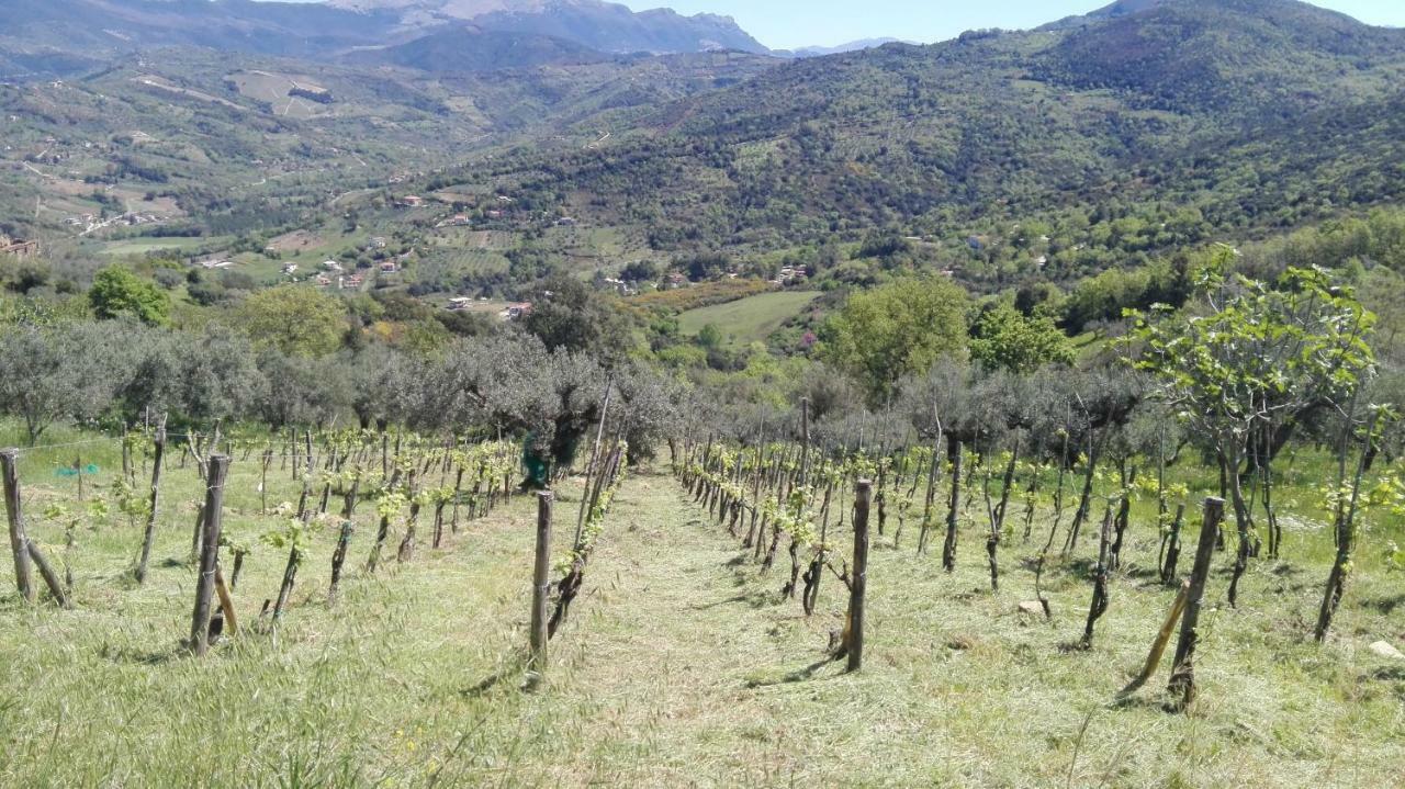 Casa Vacanze Diamante Ogliastro Cilento Bagian luar foto