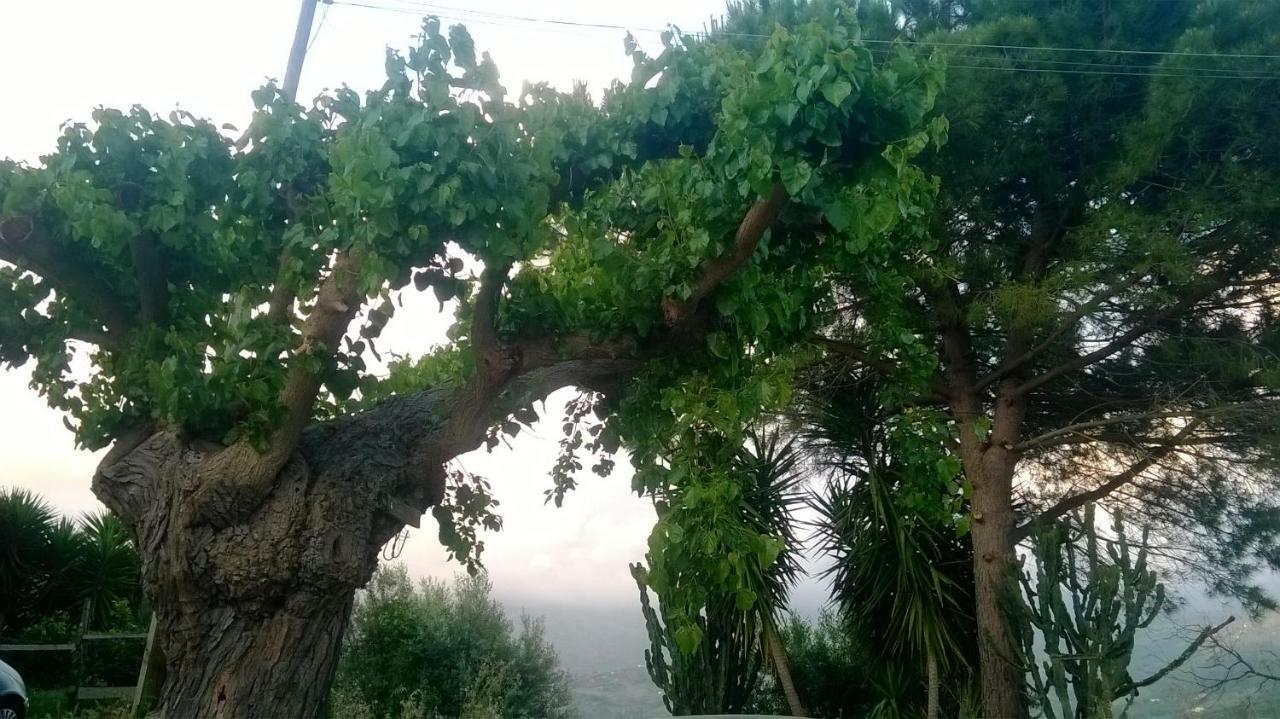 Casa Vacanze Diamante Ogliastro Cilento Bagian luar foto