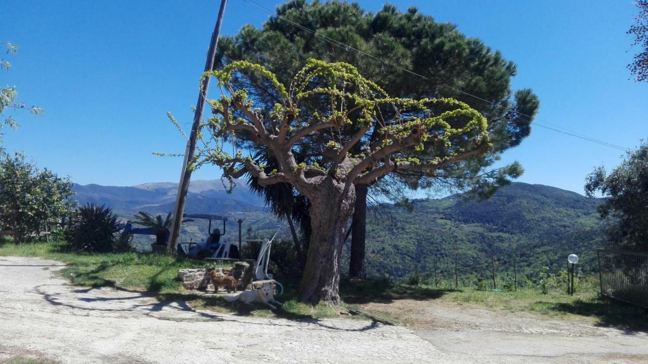 Casa Vacanze Diamante Ogliastro Cilento Bagian luar foto
