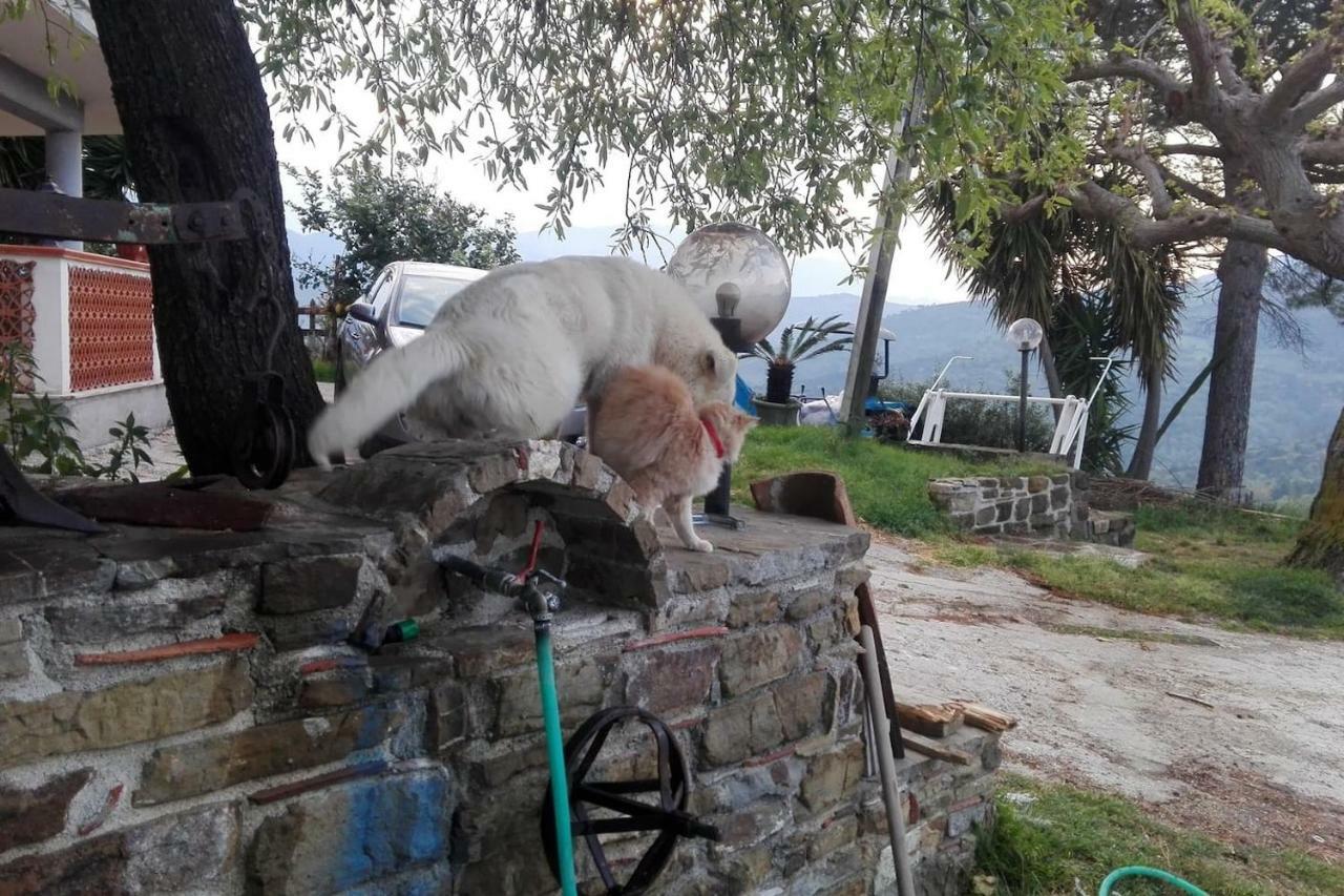 Casa Vacanze Diamante Ogliastro Cilento Bagian luar foto